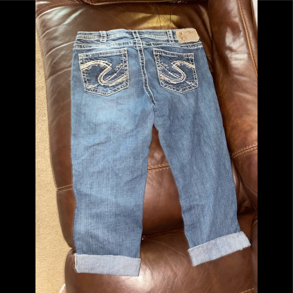 Silver Capris - image 1